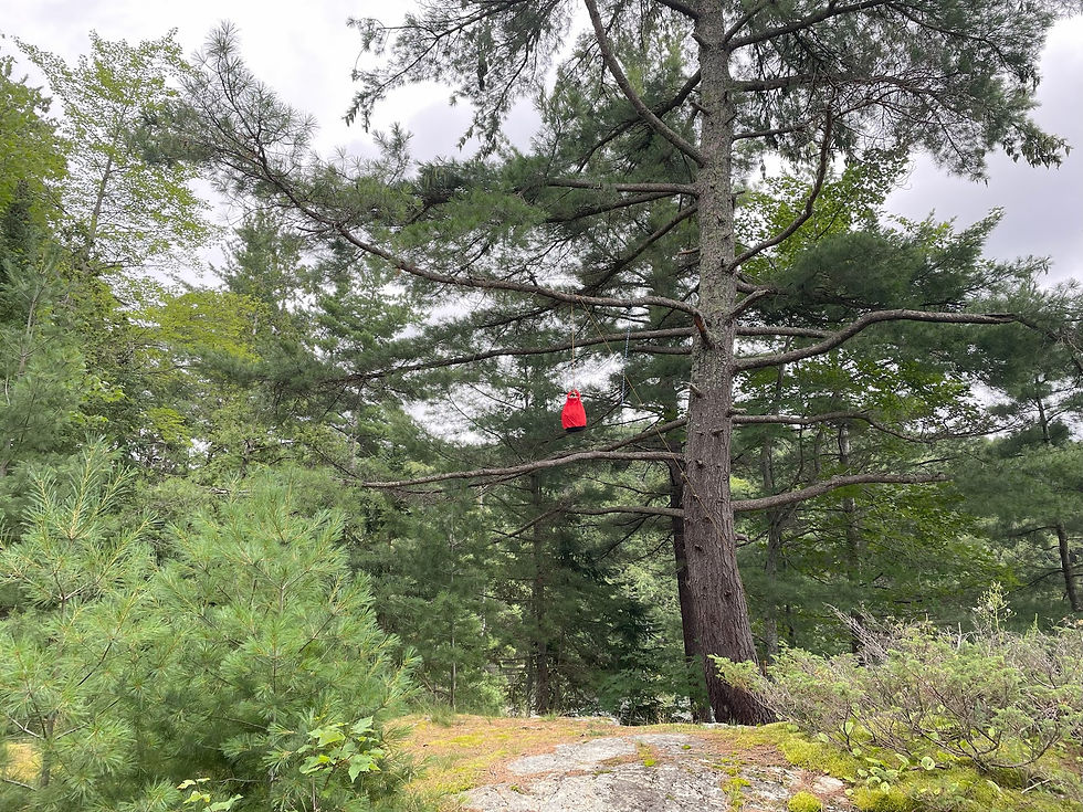 I always split my food into two bags and hang them far apart—just in case a bear tries to steal one.
