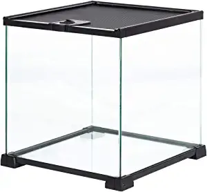 reptile terrarium ideas