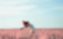action-carefree-cropland-daylight-114624