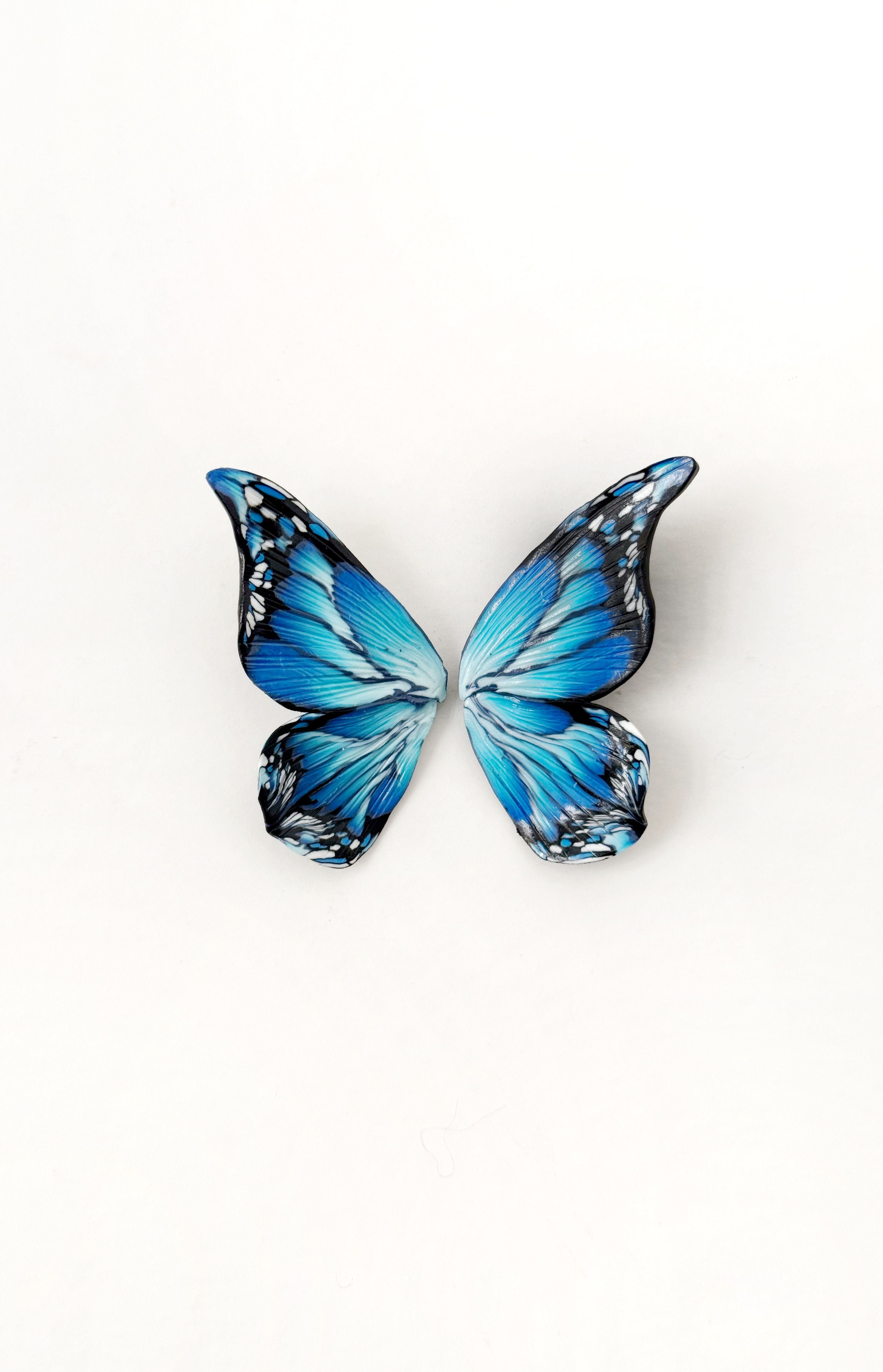 Maxi Mariposa Morpho