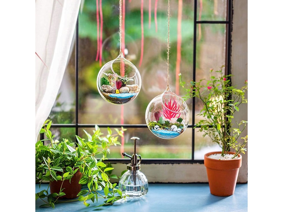 Terrarium romantique boule