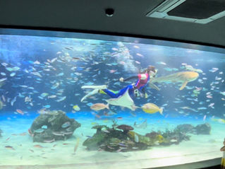 サンシャイン水族館様