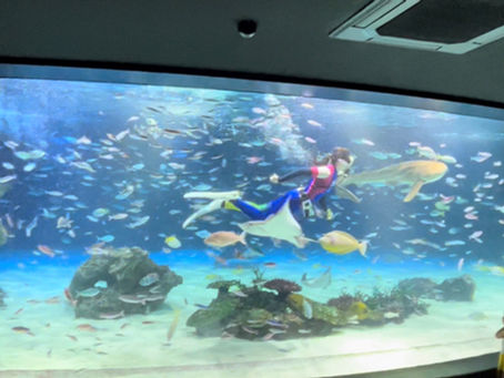 サンシャイン水族館様