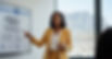 Professional Employment Equity Consultant presenting a compliant Employment Equity Plan (E