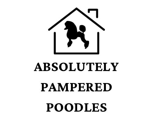 Absolutely Pampered Poodles LLC logo