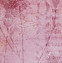 Screenshot 2025-10-28 135157_edited.jpg
