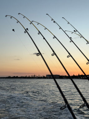Array of fishing rods prepared for a full-day charter in Moreton Bay