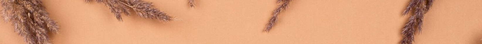 banner.jpg