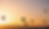 Untitled-2-05.png