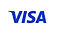 Visa Logo