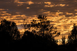 mendoza_14