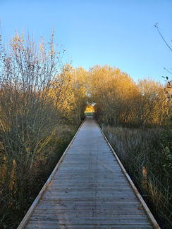 The Fife Coastal Path - St Andrews to Newport