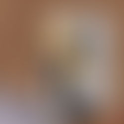 Gallery: Greta Thunberg at the Bristol Youth Strike 4 Climate Event