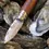 Thumbnail: Opinel N°08 - Oyster