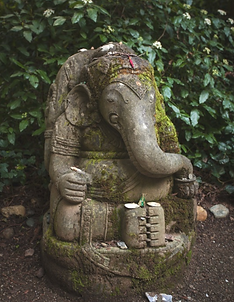 Screenshot 2026-02-06 at 10.24.41 AM.png