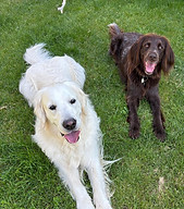 Bild Dana und Nabou.JPG