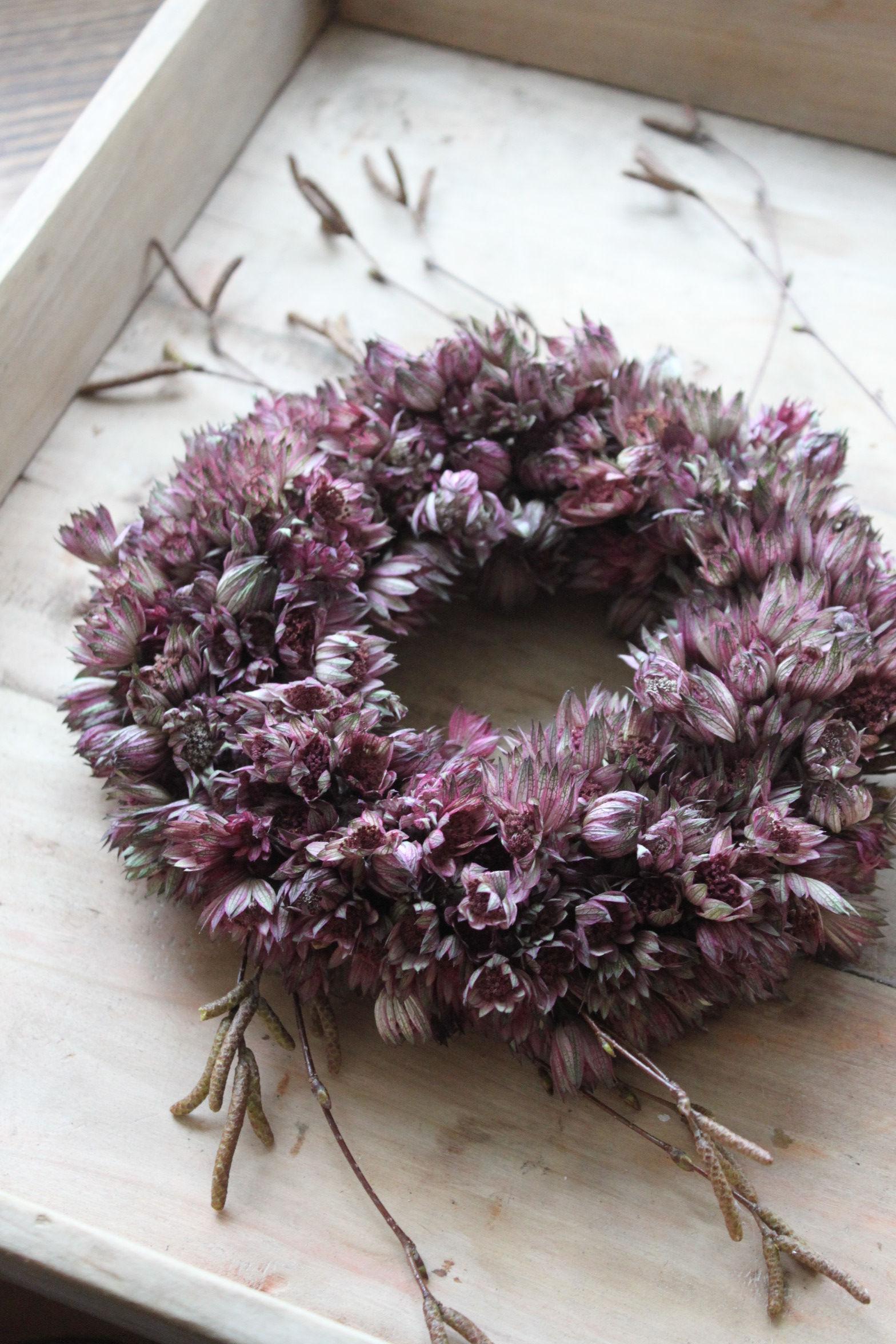 Little Astrantia Wreath