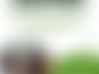 Strengthening Leadership for a Fortune 100 Division