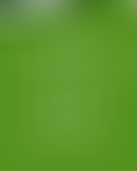 We are experts in helping smart organizations, identify, assess and develop leaders and teams.