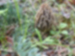 DSCN3684.JPG
