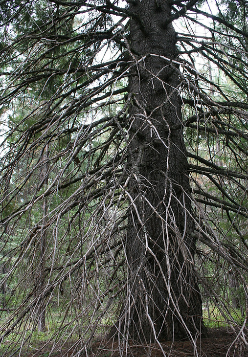 IMG_6630.JPG