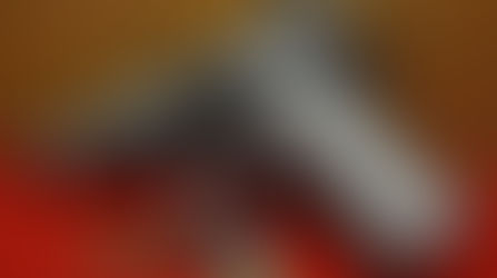 Ruger SR-1911 9MM Navy Seal Limited Edition