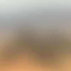 A herd of white rhinos with a baby rhino