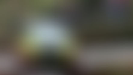 Kia Picanto Rally Cup chega em 2020 com 4 provas e oferta de todos os pneus!