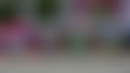 Kia Rally Cup by Toyo Tires arranca em Outubro com oferta de pneus e preço de inscrição reduzido!