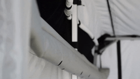 Animated GIF-downsized.gif