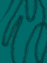 Untitled_Artwork-20.png