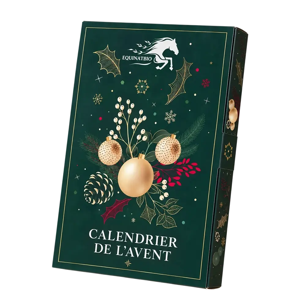 Packshot photography of a decorative advent calendar box for the Christmas season. The dark green packaging features classic holiday imagery like ornaments and holly.