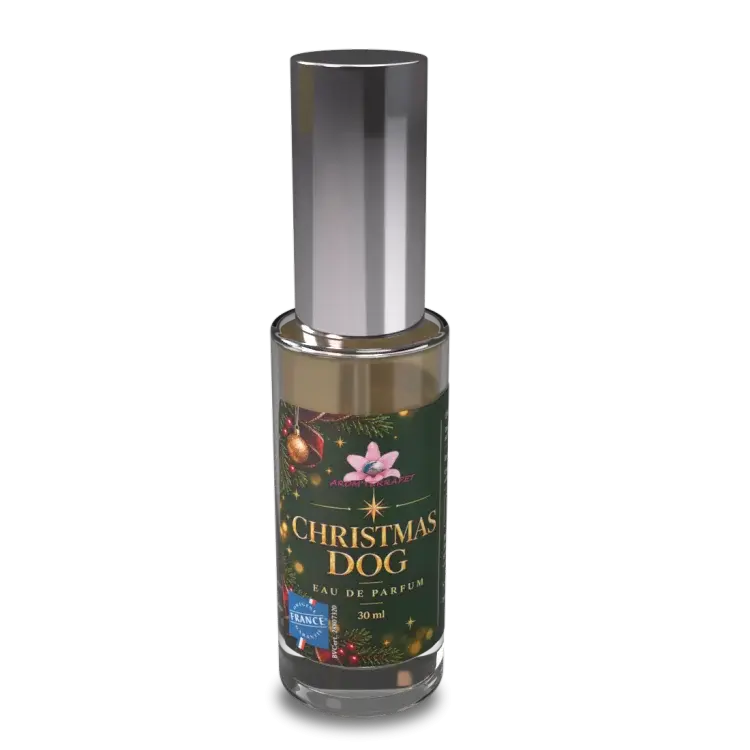 christmas-dog.webp