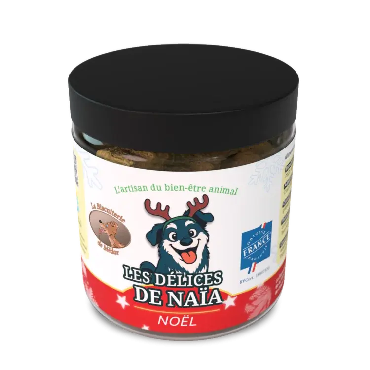 delices-de-naia-de-noel.webp