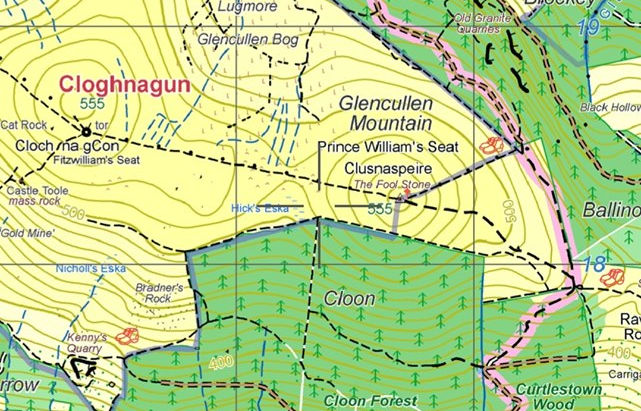 Callout 41 - 22nd May 2019 - Curtlestown Wood