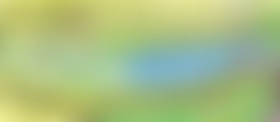 Callout 17 - 28th February 2019 - Glendalough