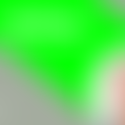 Spotlight on Paul Dunlop - Director of Delivery and Services