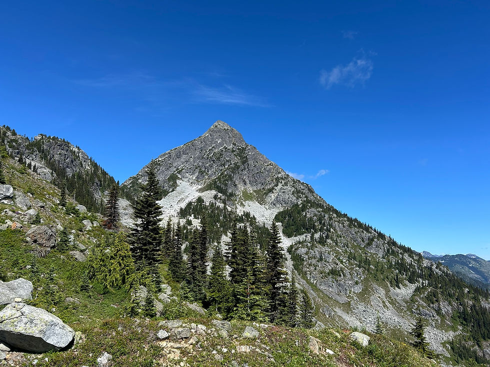 Williams Peak