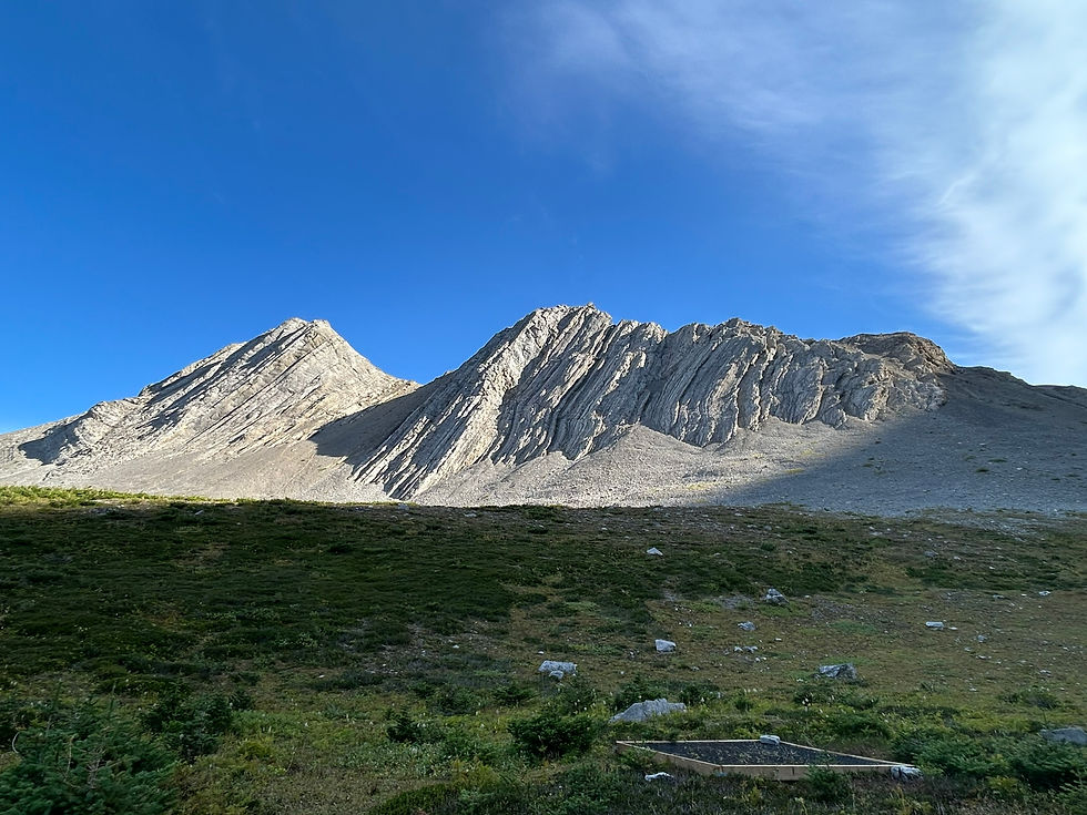 Limestone peaks to the south