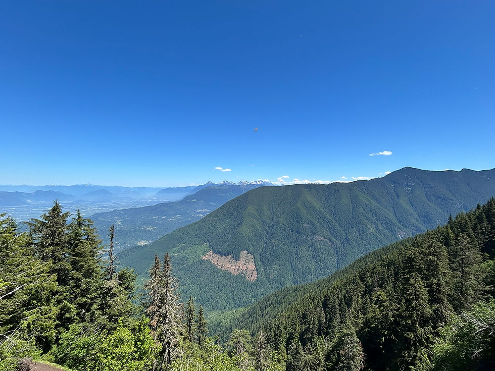 The first good viewpoint. Looking east, with the Chilliwack valley in the distance. You can just see the tops of the Mt Cheam range sticking out in the background.