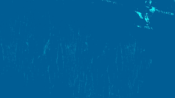 IMG_0344.png