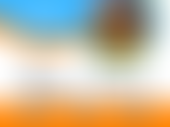 Turned Down for an SBA Loan?