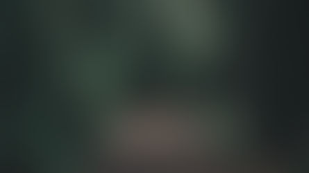 November 30, 2018 Newsletter