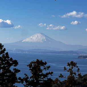 ゴームクツアー準備ウォーク 春のトレッキング 三浦アルプスと陣馬山