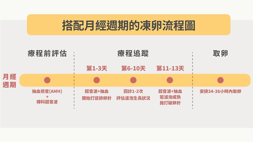 搭配月經週期進行凍卵療程