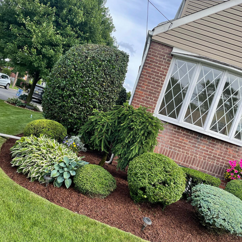 Screen Shot 2023-03-03 at 12.27.56 PM.png