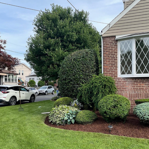 Screen Shot 2023-03-03 at 12.27.40 PM.png