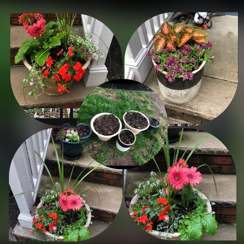 Screen Shot 2023-03-03 at 12.30.19 PM.png