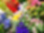 IMG-4183_edited.jpg