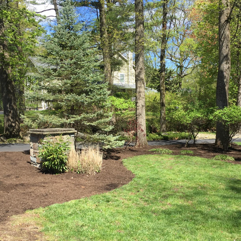 Screen Shot 2023-03-03 at 12.30.47 PM.png